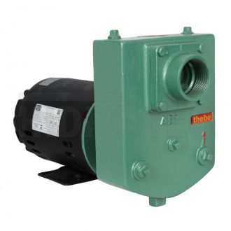 Bomba de Agua Autoescorvante Thebe AEX 1 1,0Cv Monofasico 127/220/254 Voltagens Rotor de AB 107X14