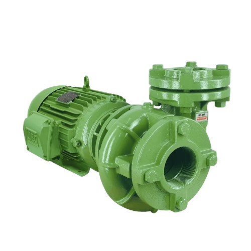 Bomba Centrifuga Schneider BC 21 R Saida Roscada 2" x 1/2" 10Cv Monofasico